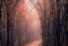 哈登迎来十五赛季出色发挥，热火观众热烈欢呼！